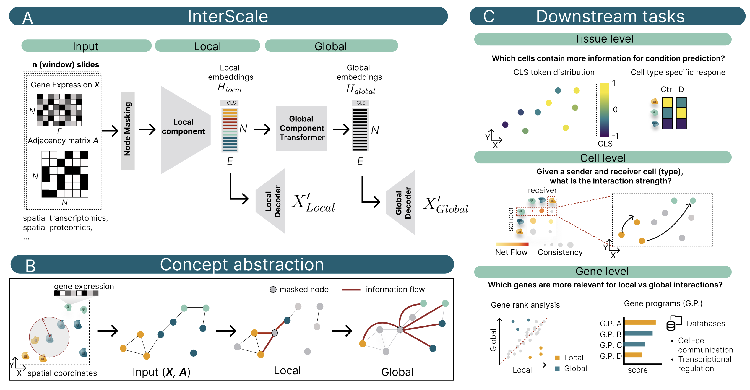 InterScale concept