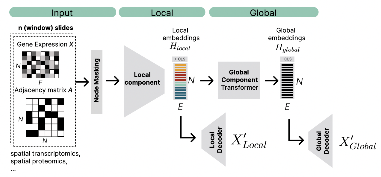 InterScale concept