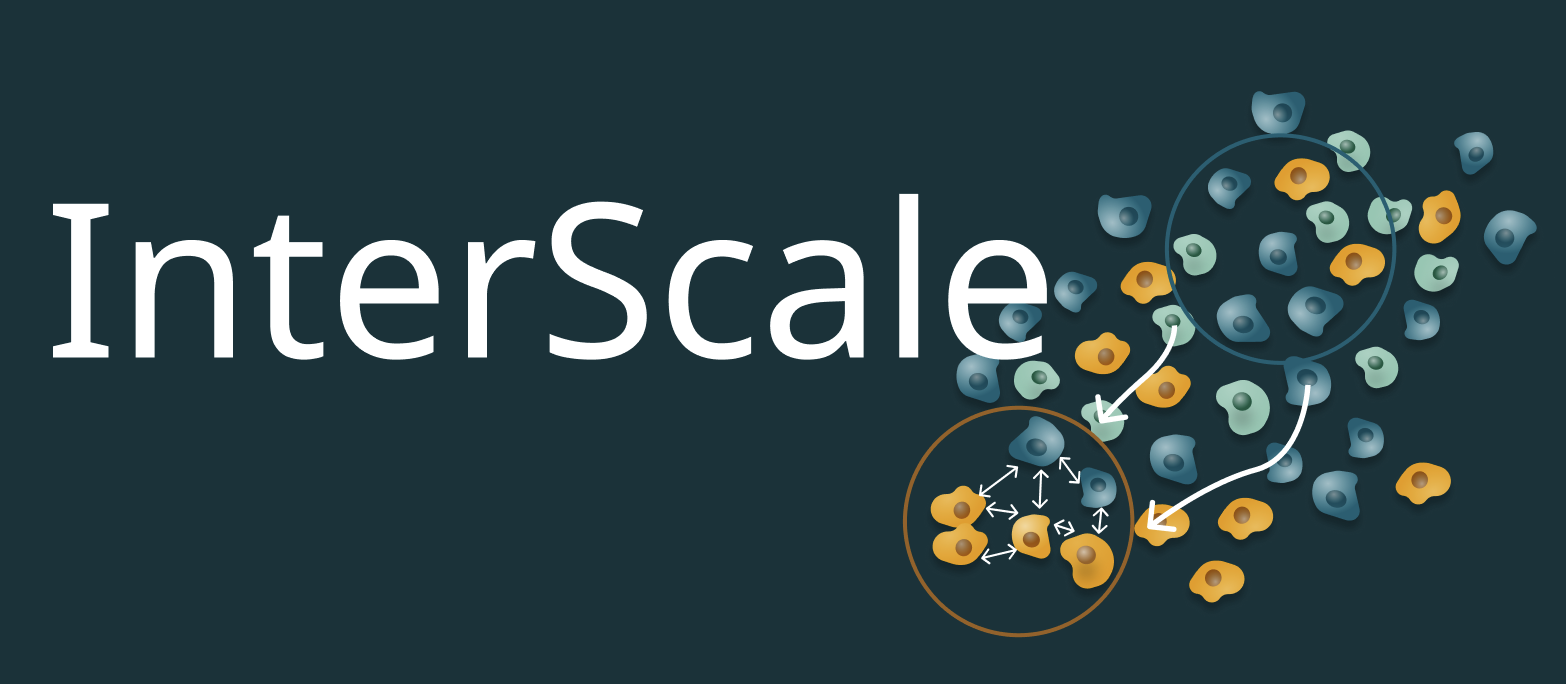 interscale - Home